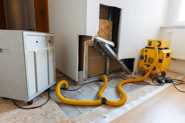  Theodore, AL Mold Removal Pros
