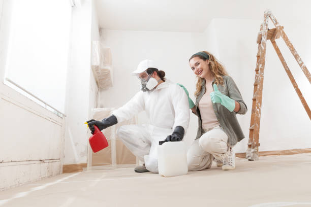 Best HVAC Mold Inspection and Cleaning  in Theodore, AL